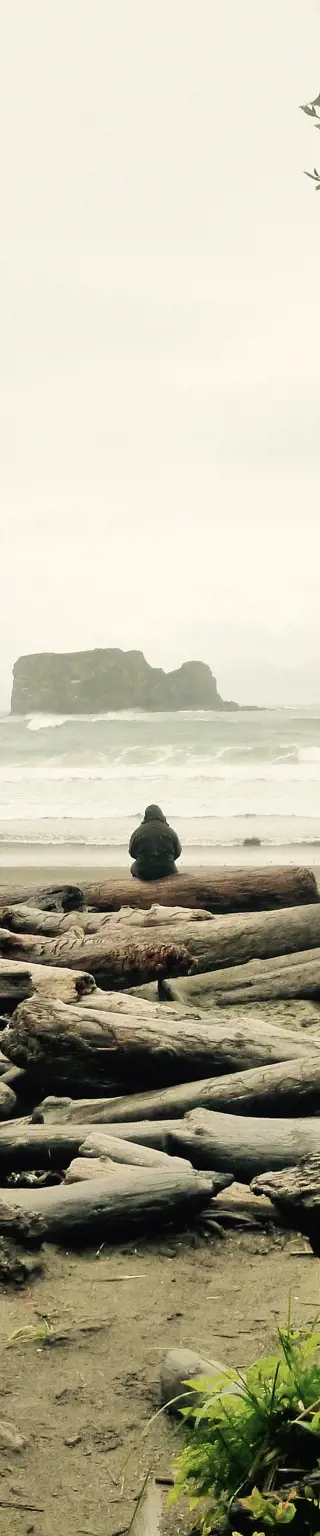 Erkunde das UNESCO-Weltnaturerbe auf der Olympic-Halbinsel